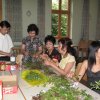Bild 1 229